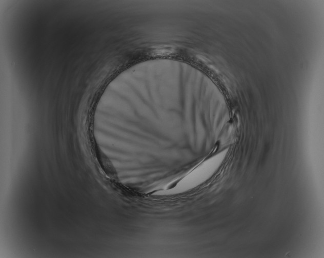 X0000086771441200705111726