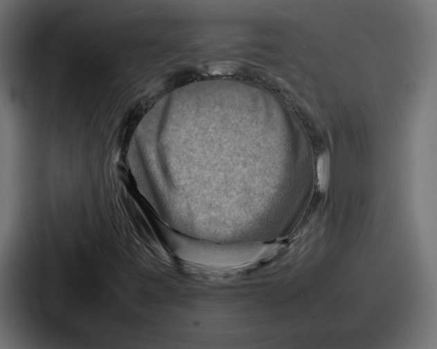 X0000086771443200705111726