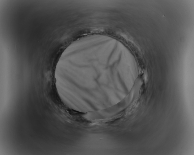 X0000086771445200705111726