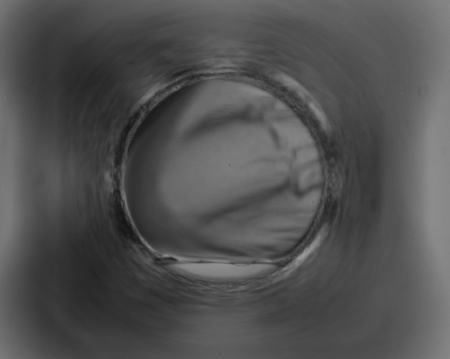 X0000086771449200705111725