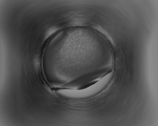 X0000086771450200705111725