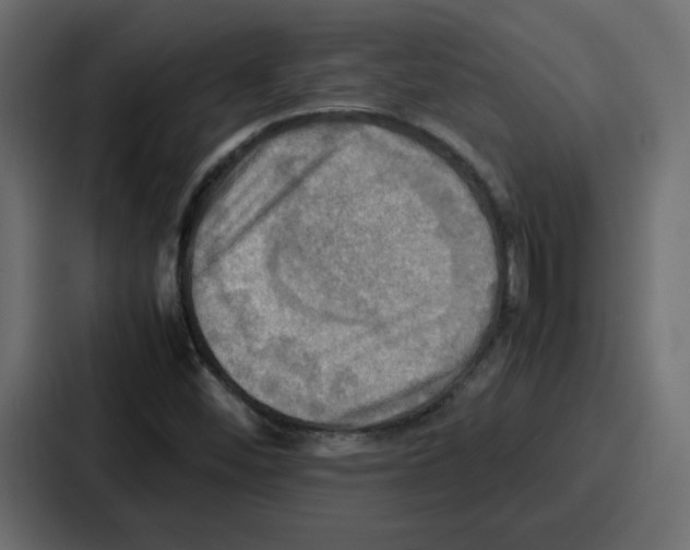 X0000086771452200705111725