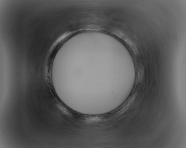 X0000086771454200705111725