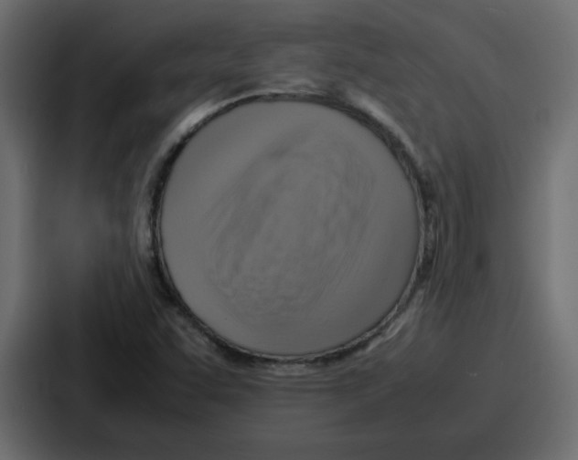 X0000086771455200705111725