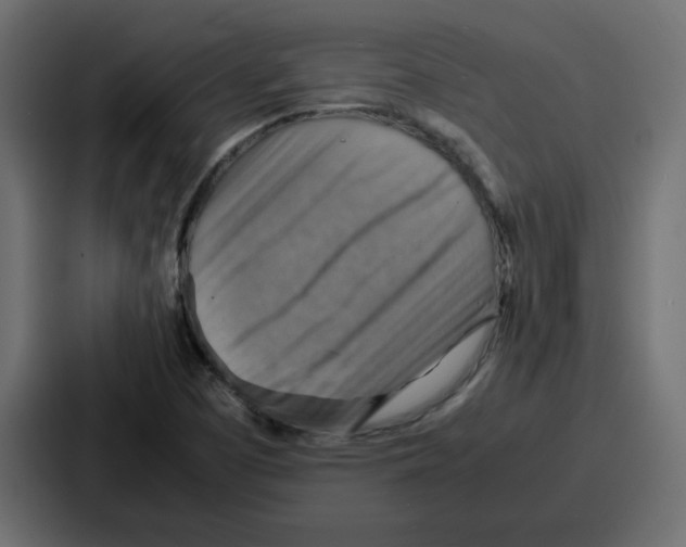 X0000086771457200705111725