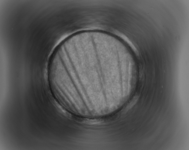 X0000086771460200705111725