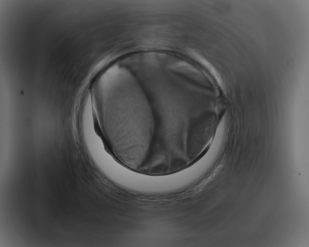 X0000086771461200705111725