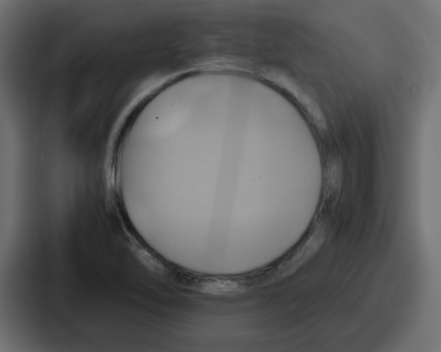 X0000086771462200705111725