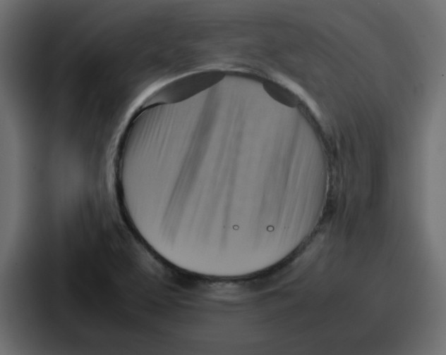 X0000086771463200705111725