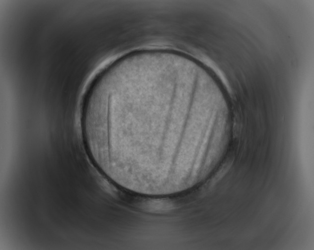X0000086771464200705111725