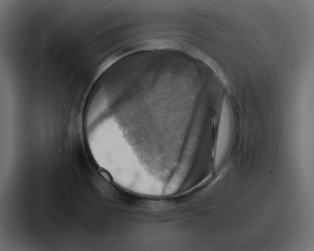X0000086771465200705111725