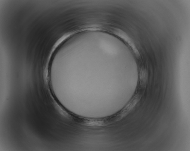 X0000086771466200705111725