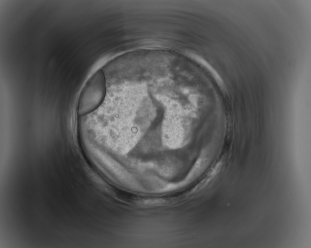 X0000086771467200705111725