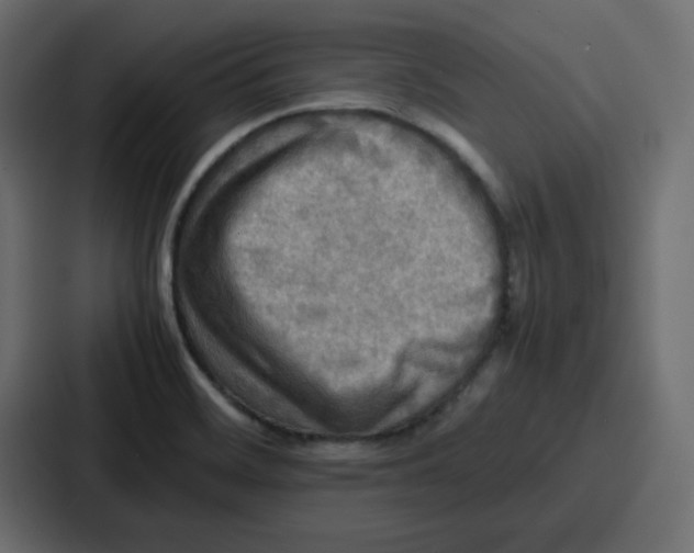 X0000086771468200705111725