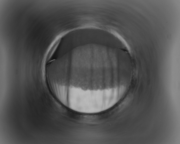 X0000086771469200705111725