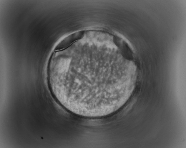 X0000086771471200705111725