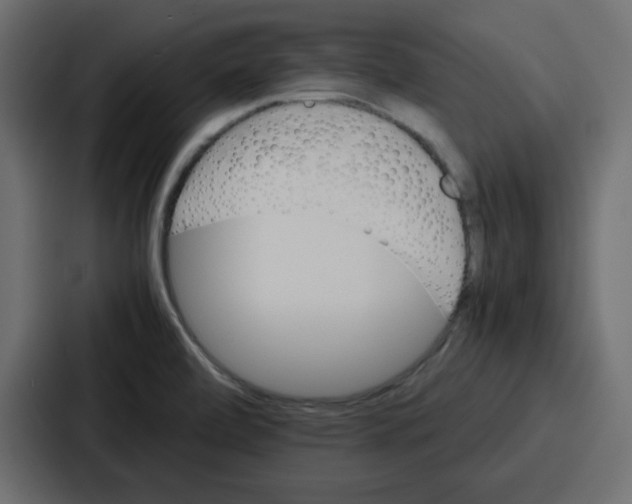 X0000086771472200705111725