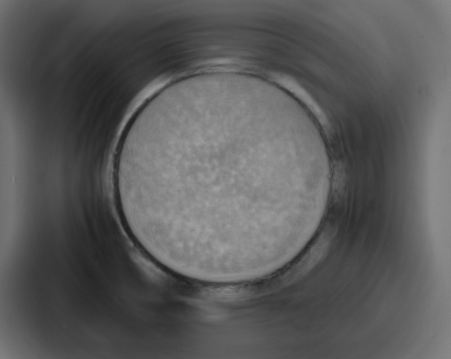 X0000086771474200705111725