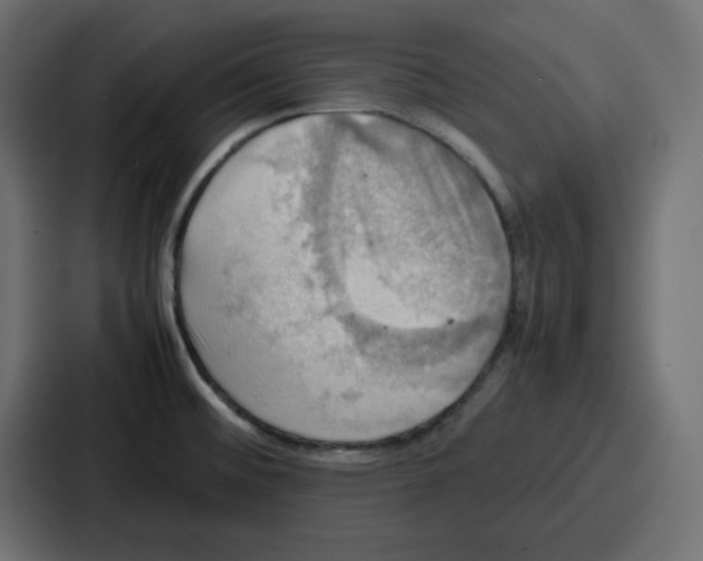 X0000086771476200705111725