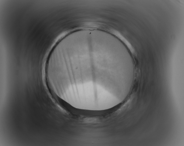 X0000086771477200705111725