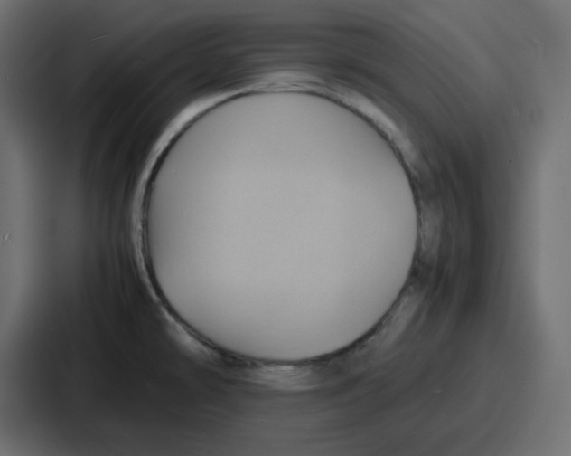 X0000086771478200705111725