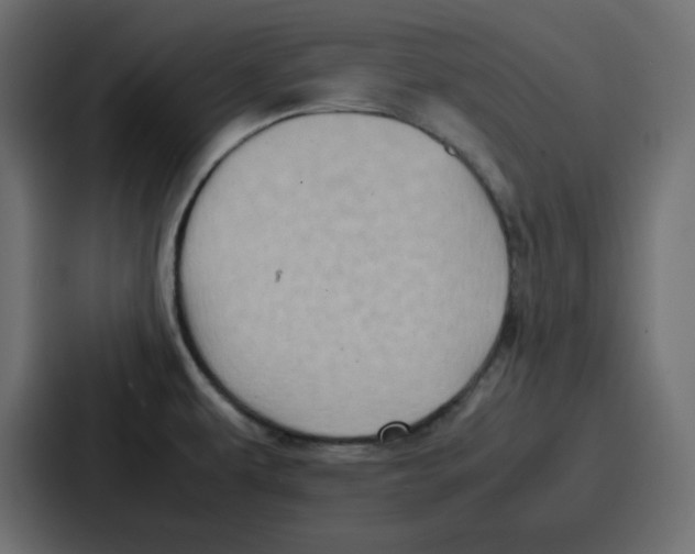 X0000086771479200705111725