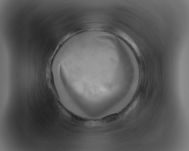 X0000086771481200705111725