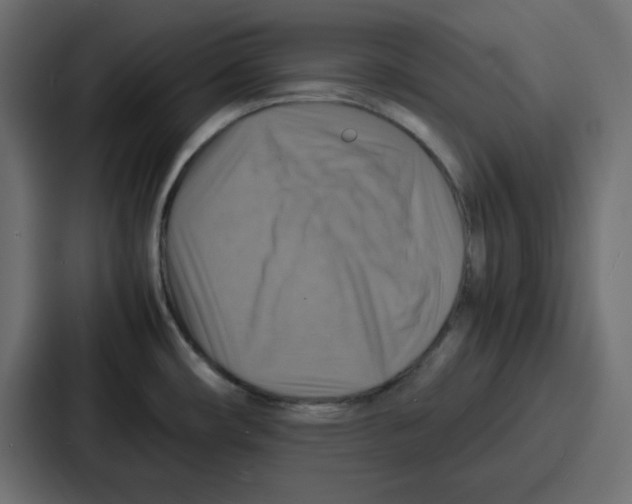 X0000086771482200705111725