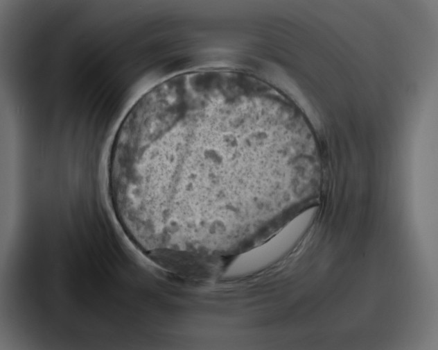 X0000086771483200705111725