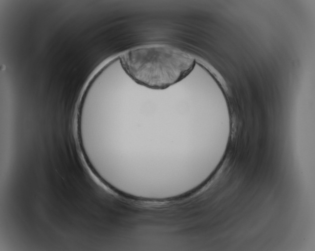 X0000086771484200705111725