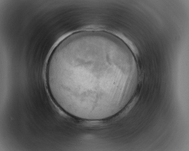 X0000086771486200705111725