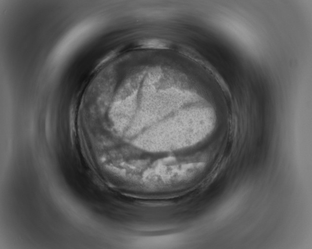 X0000086771487200705111725