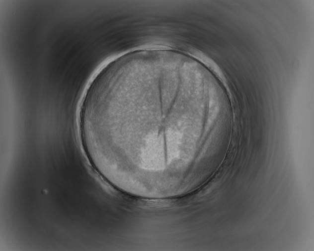 X0000086771488200705111725