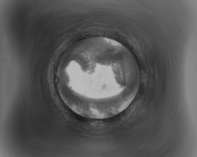 X0000086771489200705111724