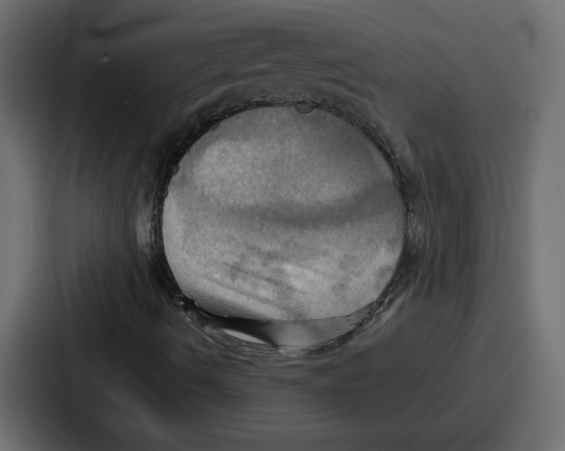 X0000086771490200705111724