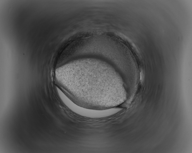 X0000086771492200705111724