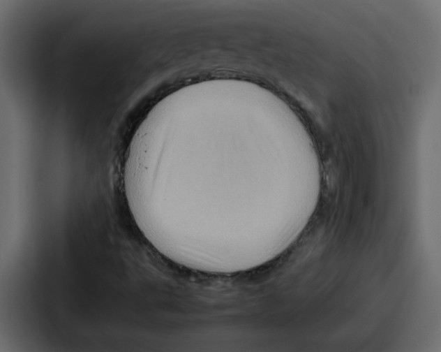 X0000086771495200705111724