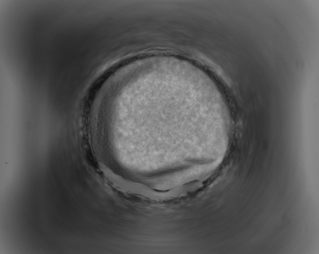 X0000086771496200705111724