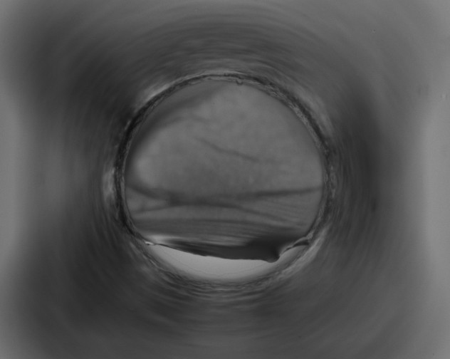 X0000086771497200705111724