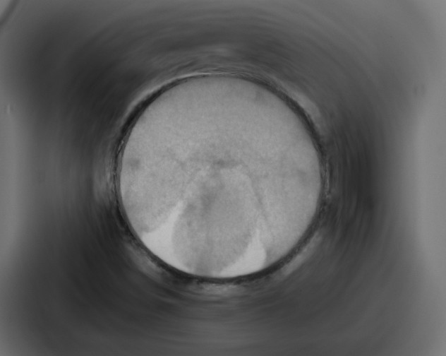 X0000086771498200705111724