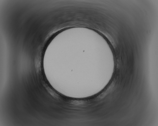 X0000086771499200705111724