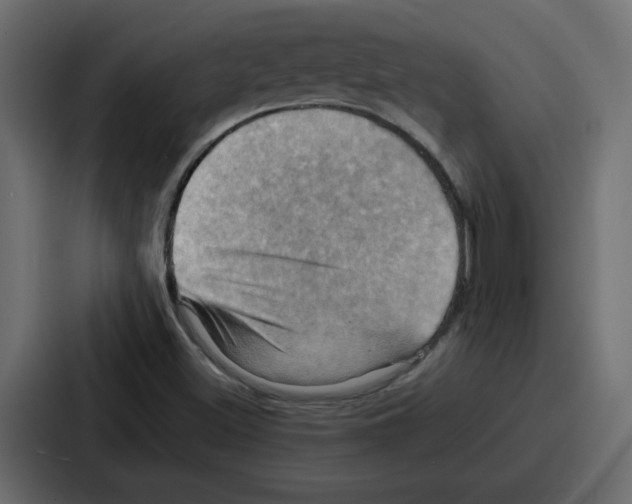 X0000086771500200705111725