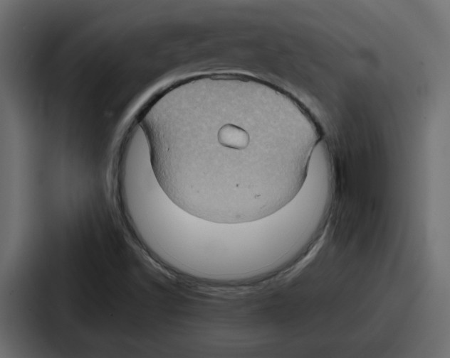X0000086771502200705111725