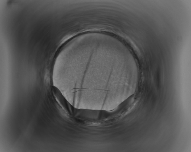 X0000086771505200705111725
