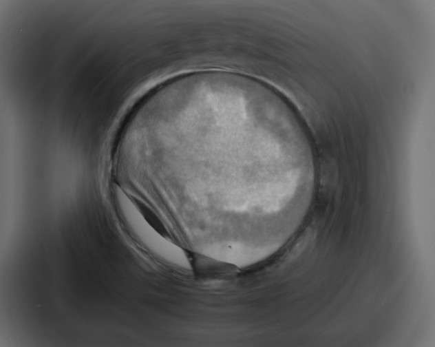 X0000086771507200705111725