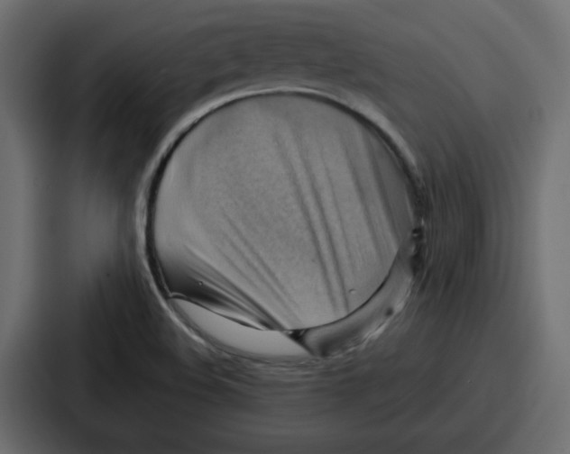 X0000086771508200705111725