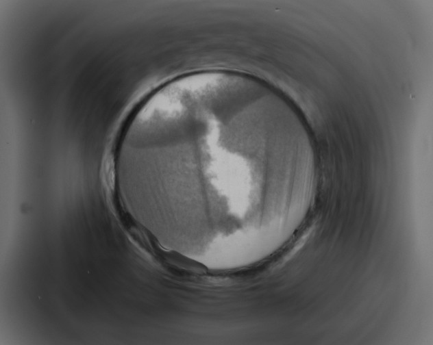 X0000086771509200705111725