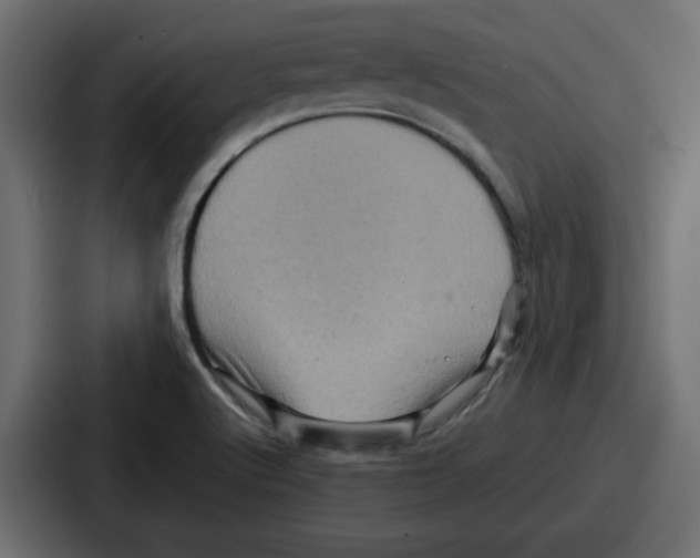 X0000086771512200705111725