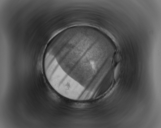 X0000086771513200705111725