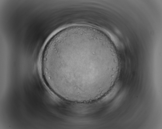 X0000086771514200705111725